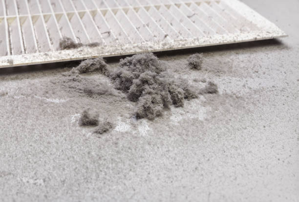 Best Home Air Vent Cleaning  in Val Verde Park, TX